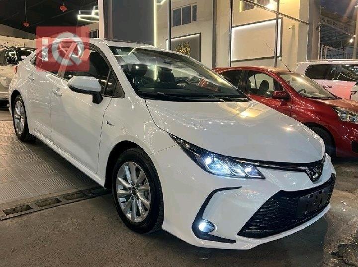 تويوتا كورولا